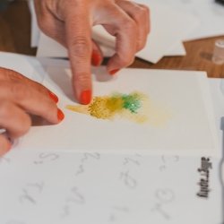 Fea Design Zebraschaf Workshop 25.4.25-